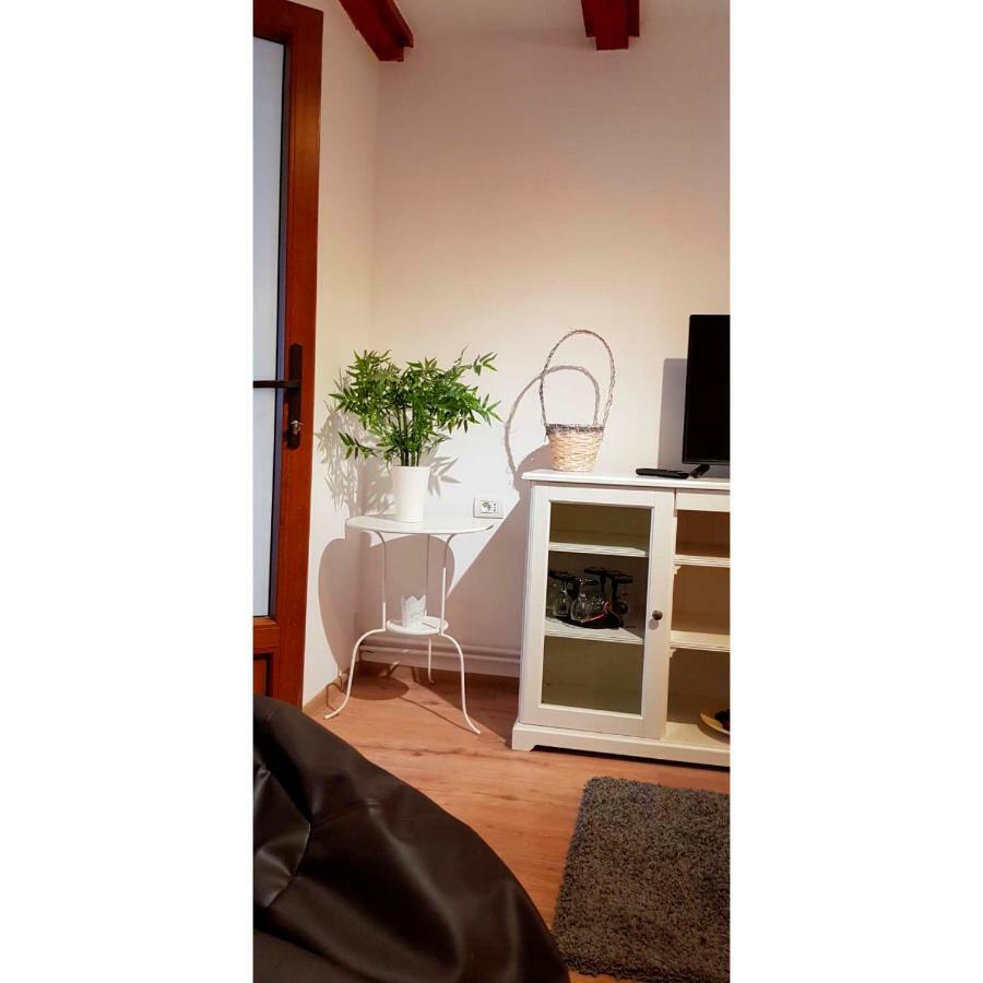 Vaso Apartament Sinaia Esterno foto
