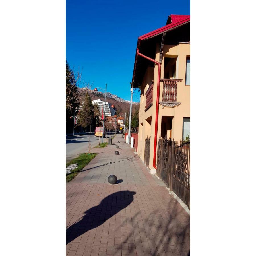 Vaso Apartament Sinaia Esterno foto