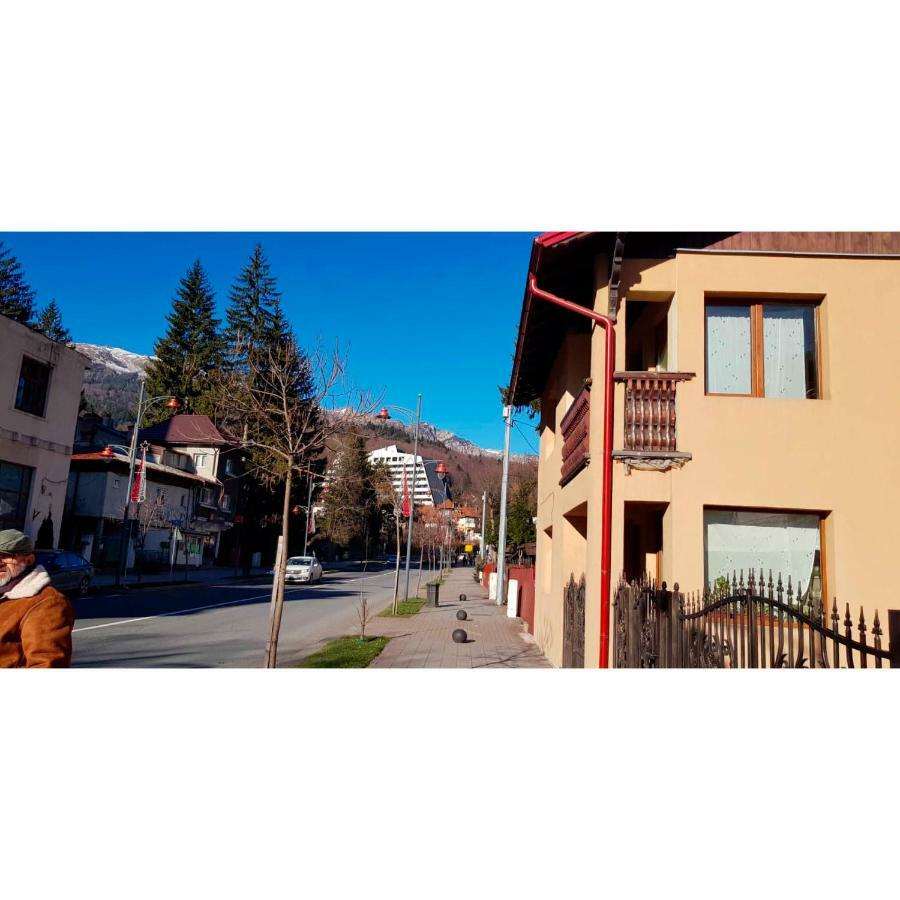 Vaso Apartament Sinaia Esterno foto