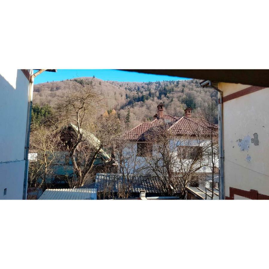 Vaso Apartament Sinaia Esterno foto